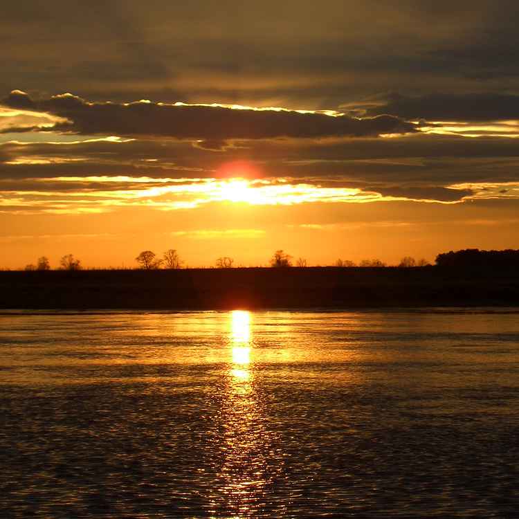 elbe in der abendsonne