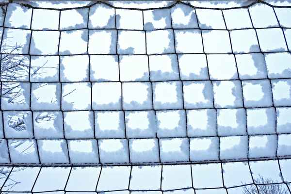 eingeschneites Tornetz