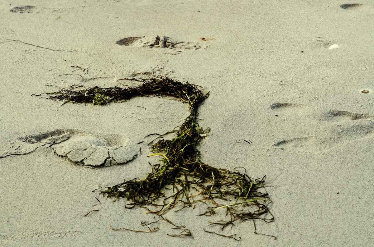 Spuren im Sand