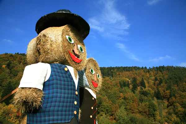 Blickfang für den Bauernmarkt in Schiltach/Schwarzwald_2