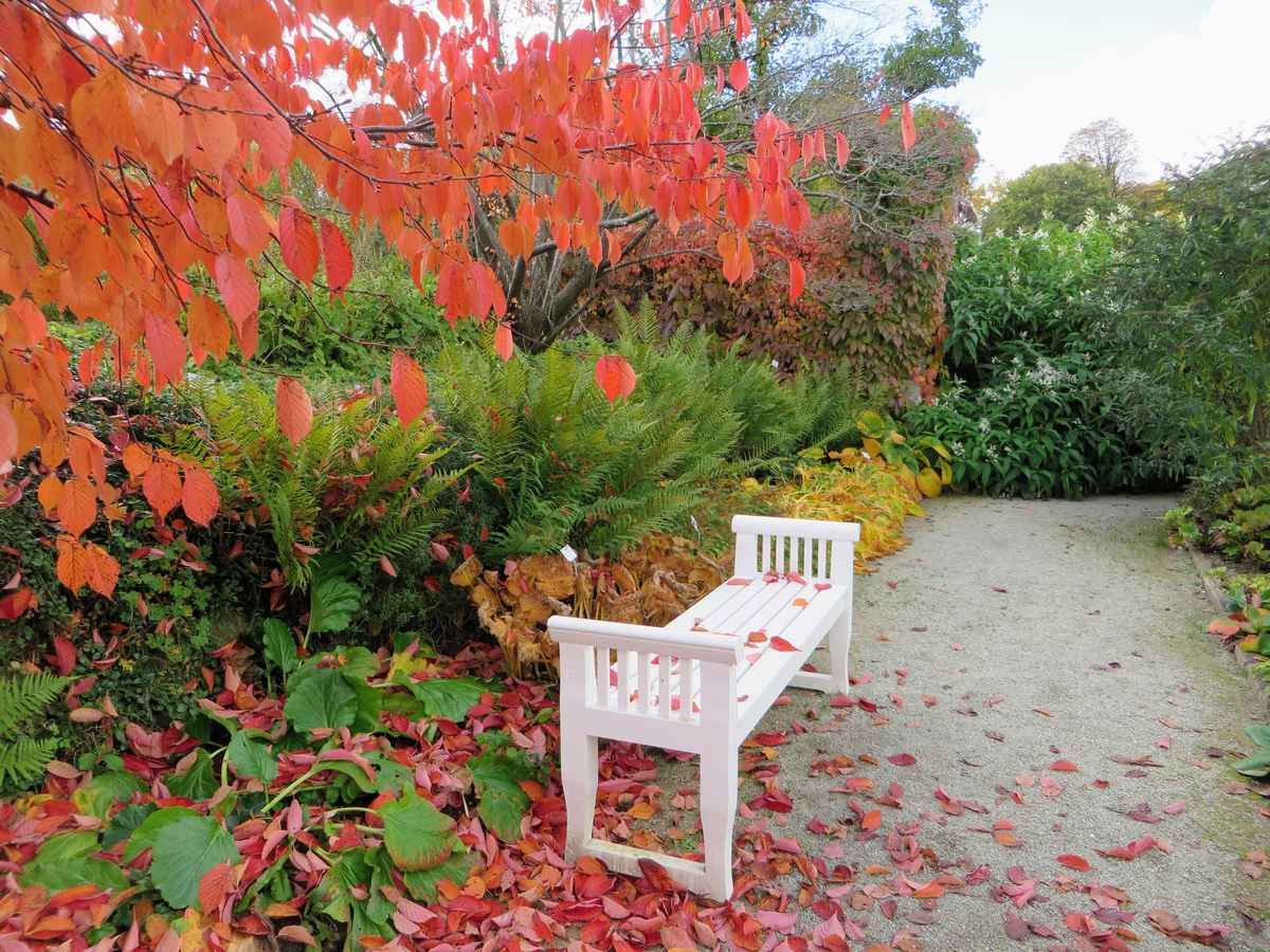 Herbst im Botanischen Garten in M&uuml;nchen