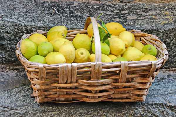 Vitamin C für die kalte Jahreszeit
