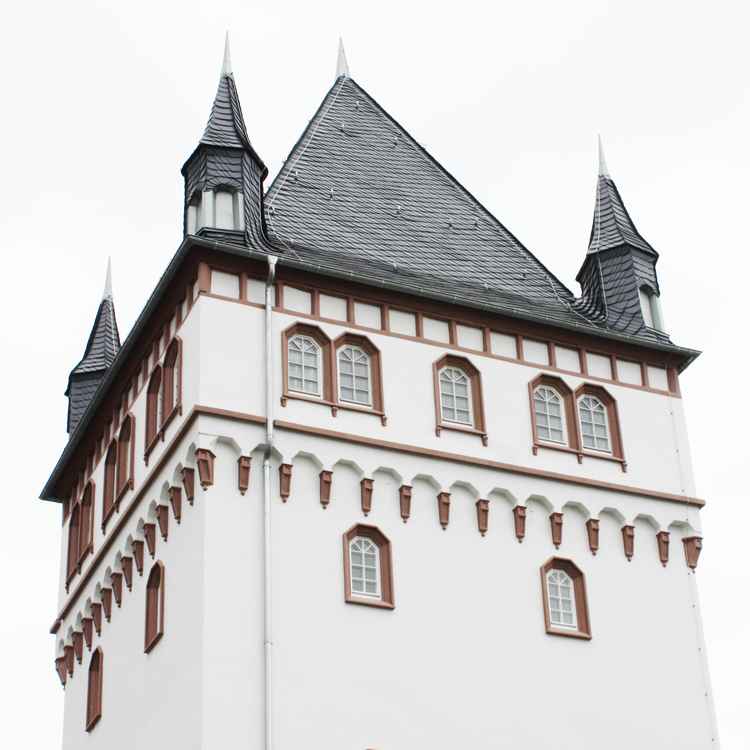 Eltville Die Burg