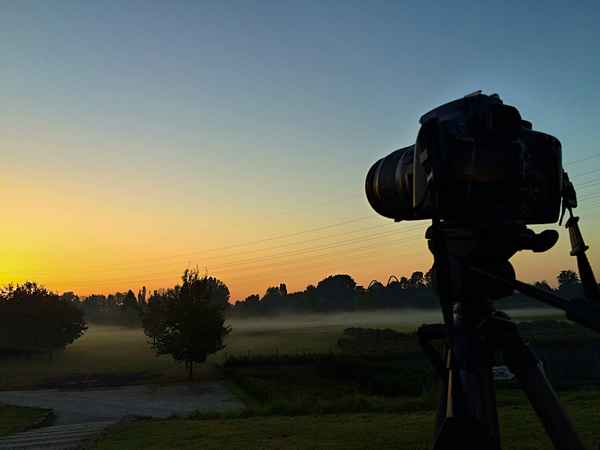 Morgenstimmung Nordsternpark