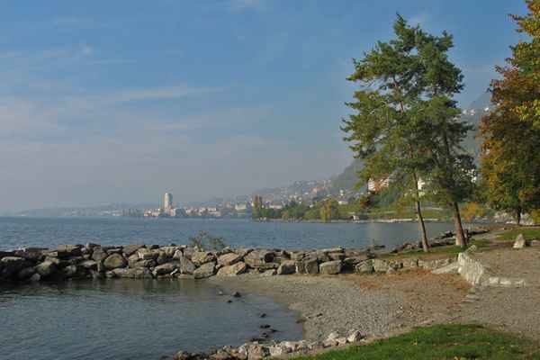 Herbsttag am Lac Léman