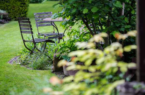 Willkommen im Grünen