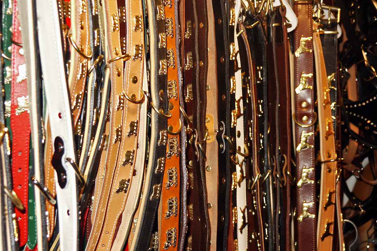 (nicht nur Hunde-) Halsbänder