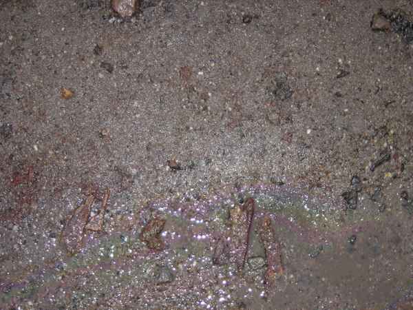 Steine im "bunten Wasser"