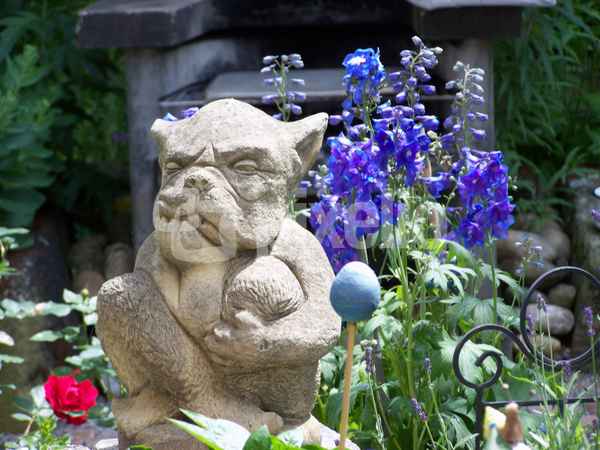 Wächter mit Rittersporn