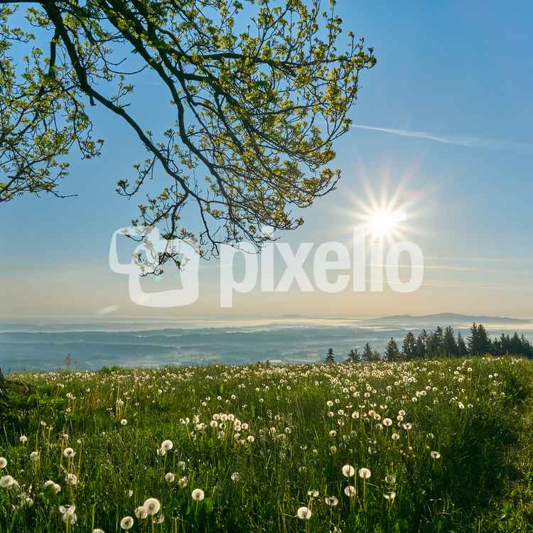 nach Sonnenaufgang in St. Anna