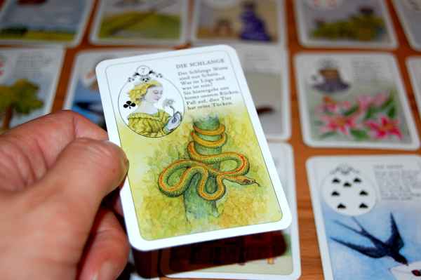 lenormand "die schlange"