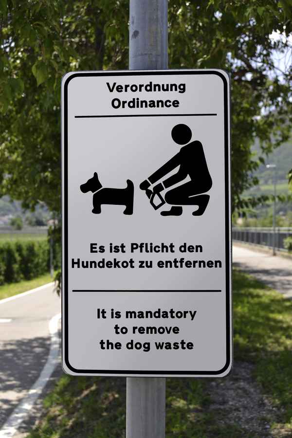 Hundekot entfernen