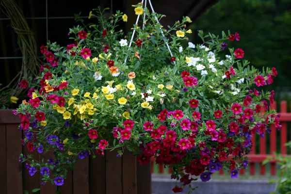 Blumenampel