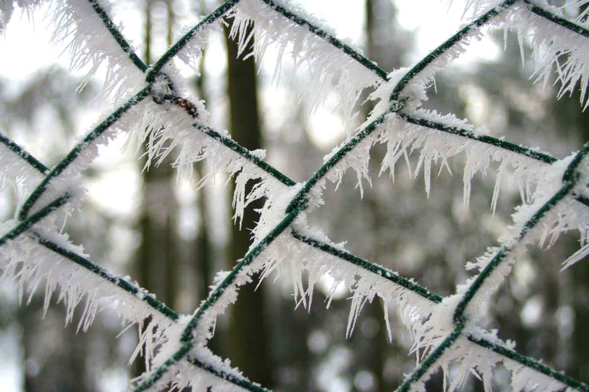 ein Zaun mit "Dornen"