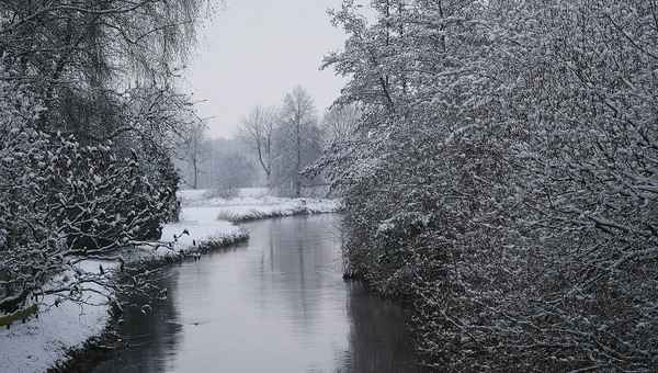 Eingebettet im Schnee