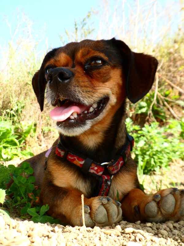 Kleine Pause im Schatten