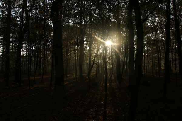  Morgendämmerung im November