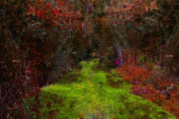 der waldweg im herbst