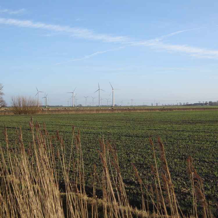 Dithmarschen