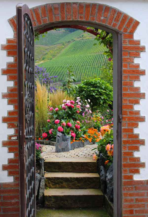 Ausblick auf die Weinberge