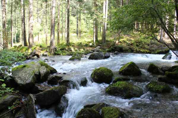 ÜBER STOCK UND STEIN V