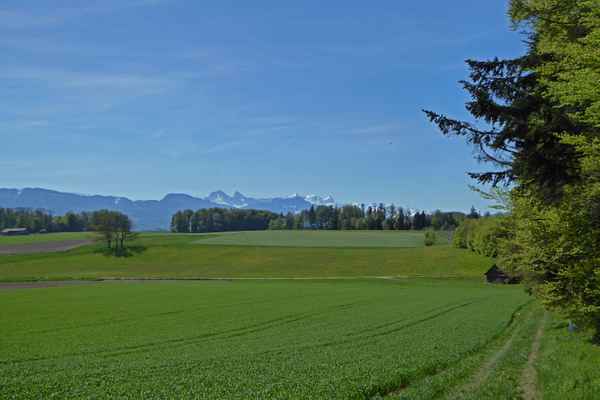 Pilgerweg mit Weitblick