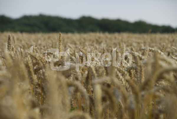 Viele unter Vielen