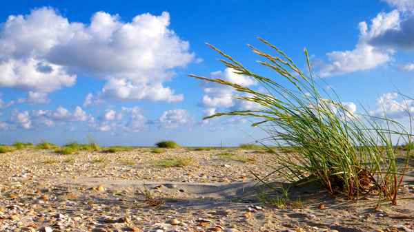 Vom Wind getrieben
