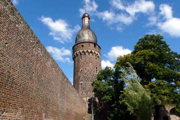 Zons am Rhein #8