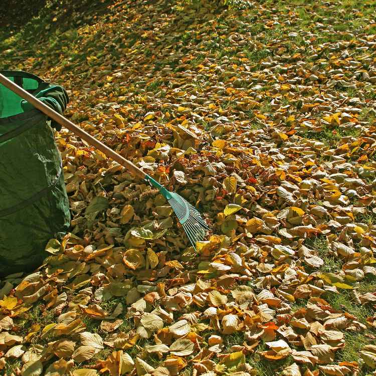 Gartenarbeit