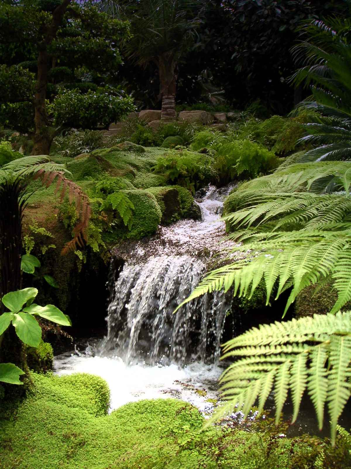 Wasserfall im Urwald