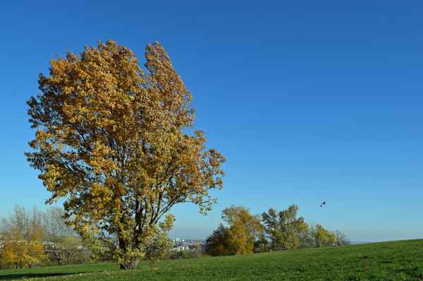 Kaiserwetter in Wien 03