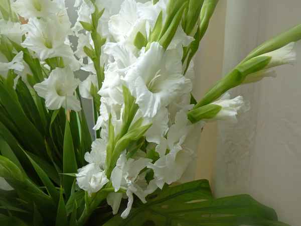 Blumenschmuck weiss-grün 2