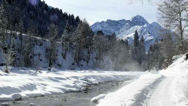 winter pur