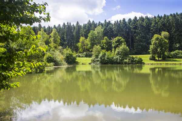 Still ruht der See