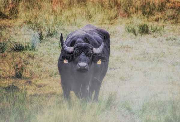 Bitte recht freundlich...
