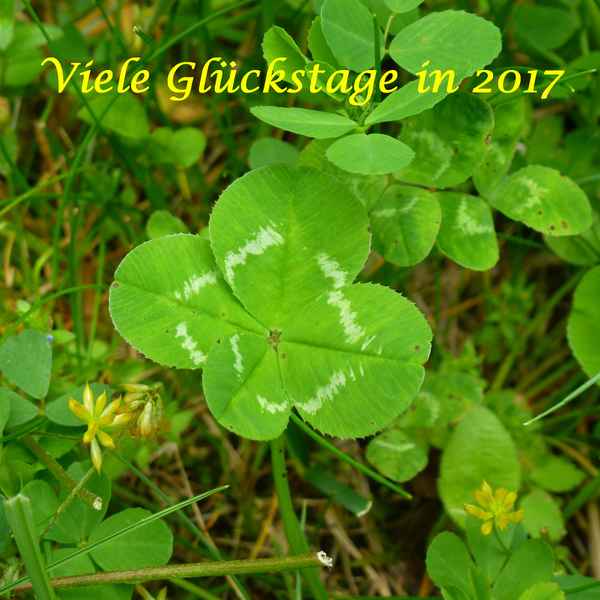 Glückstage 2017