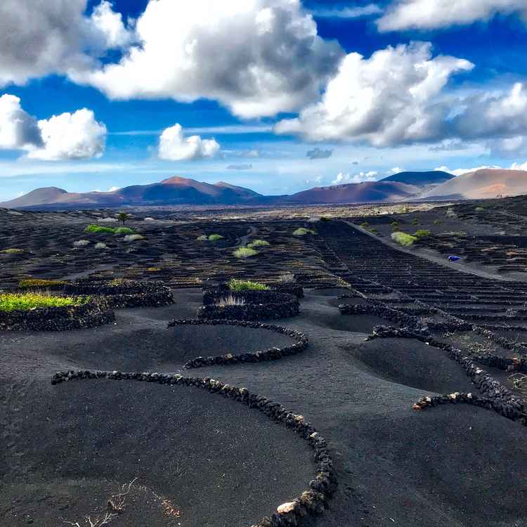 La Geria - Lanzarote