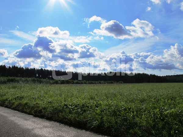 Wolken Wald und Wiese