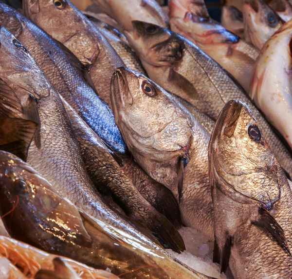 Auf dem Fisch-Bazar 11