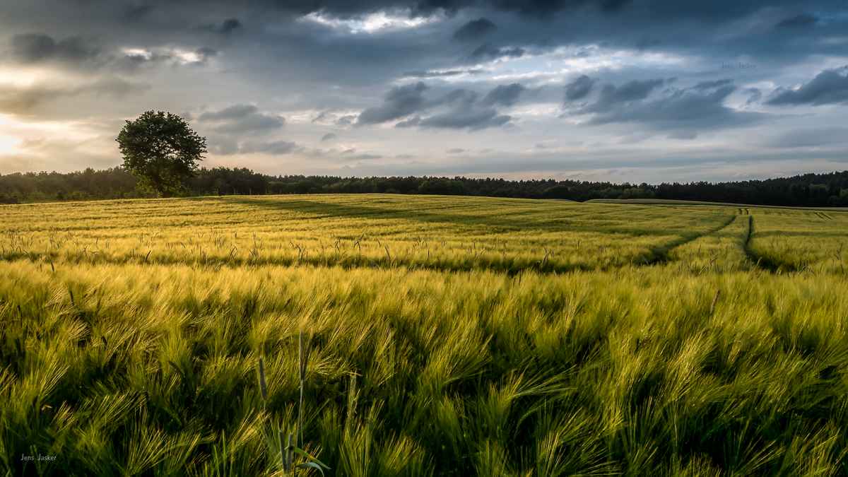 Wetter auf der Geest