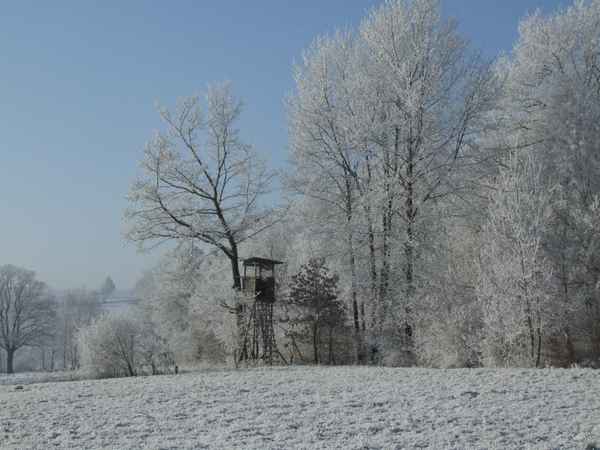 Winterreif im Odenwald, Serie 2
