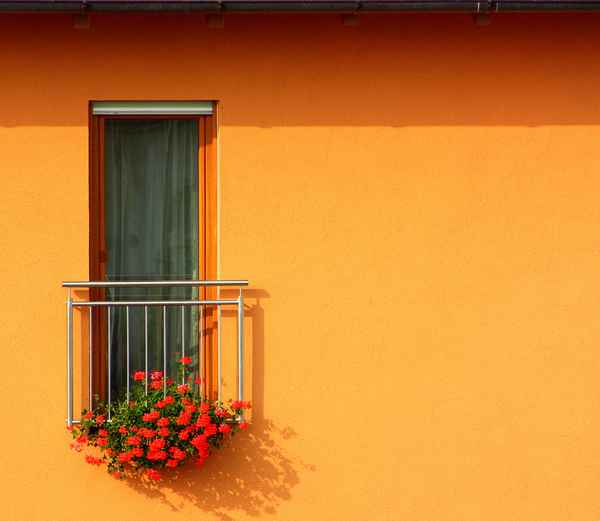 Blumenfenster