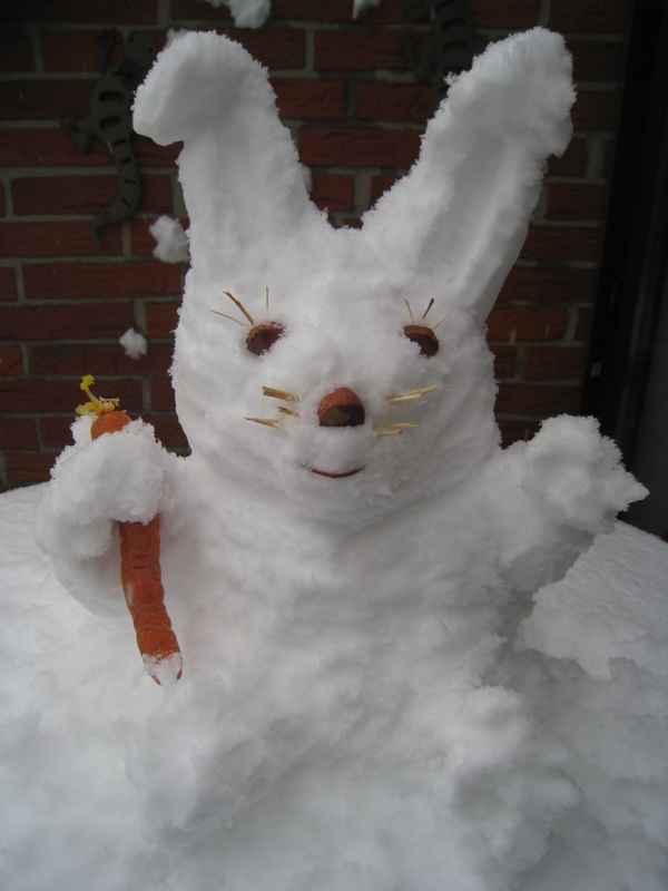 Schneehase mit Möhrchen