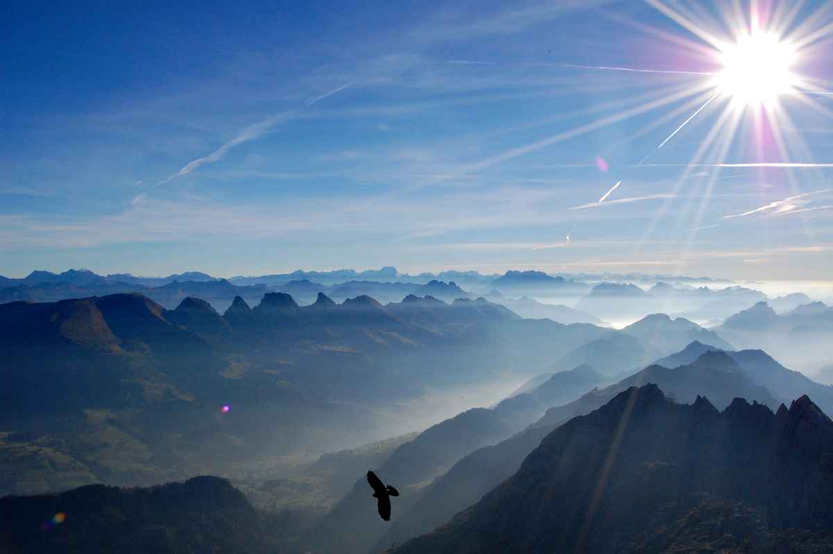 Säntis Panorama