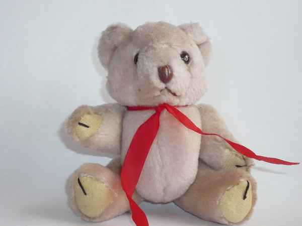 Teddybär