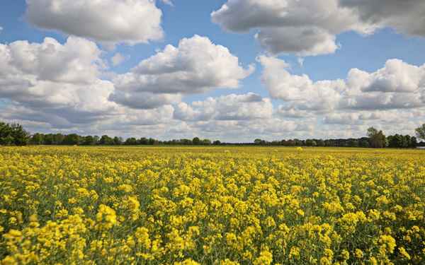 wolken ziehen