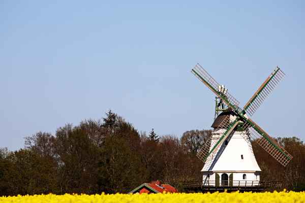 mühle in wedehorn 3