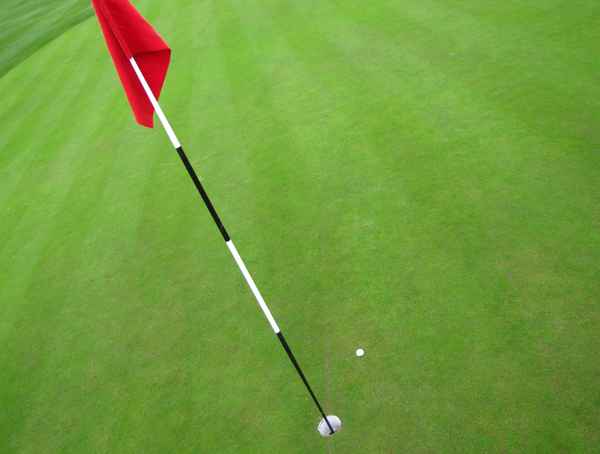 Das Grün. Die Fahne. Das Loch.