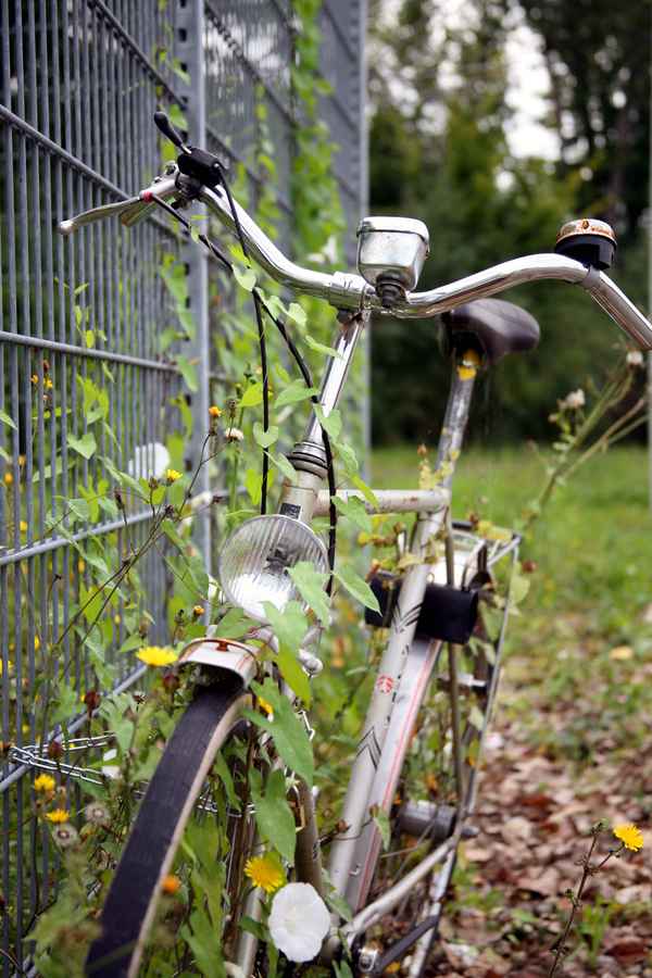 Fahrrad